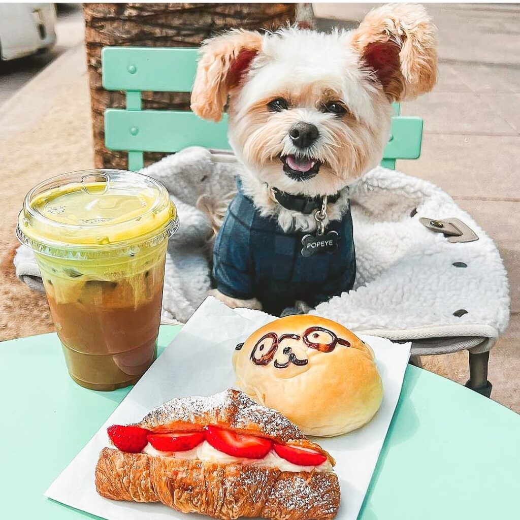 パン・コーヒー・愛犬と一緒にカフェ