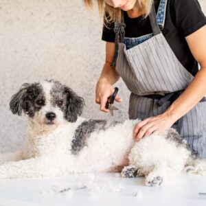 犬をグルーミングする女性・ペットショップ・ペットサロン