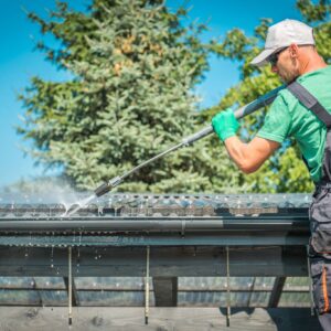 roof-and-gutters-cleaning